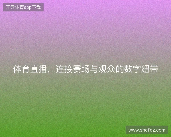 体育直播，连接赛场与观众的数字纽带