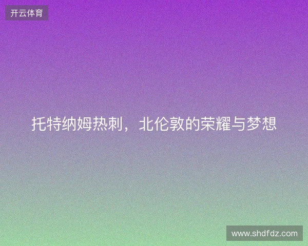 托特纳姆热刺，北伦敦的荣耀与梦想